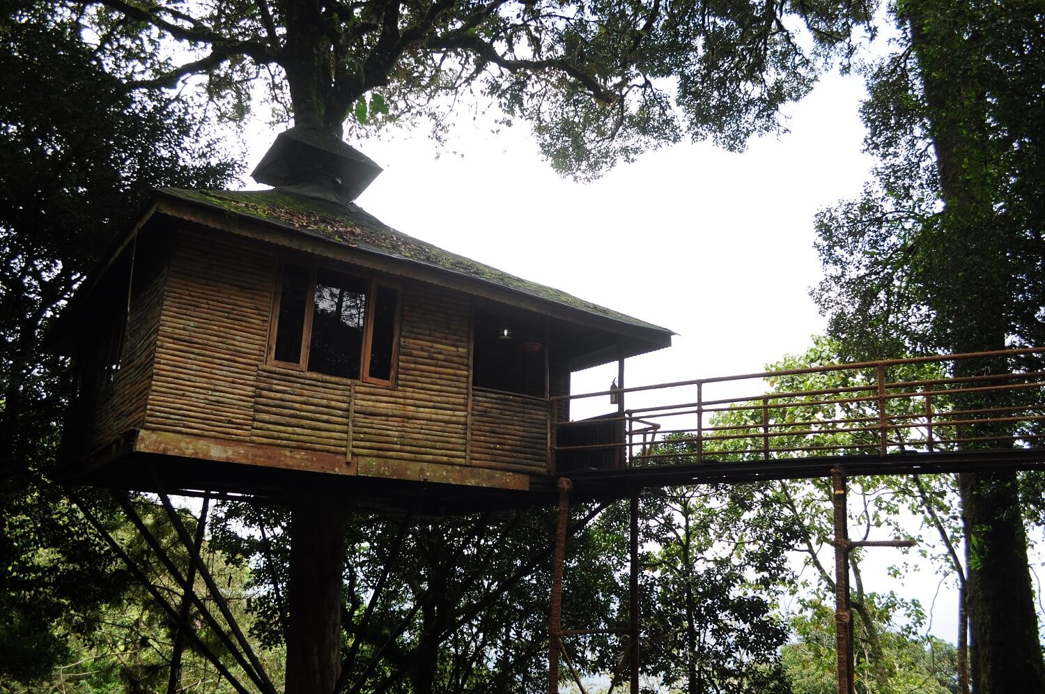 tree-house-kerala