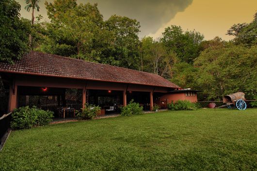 ainforest, Athirapally