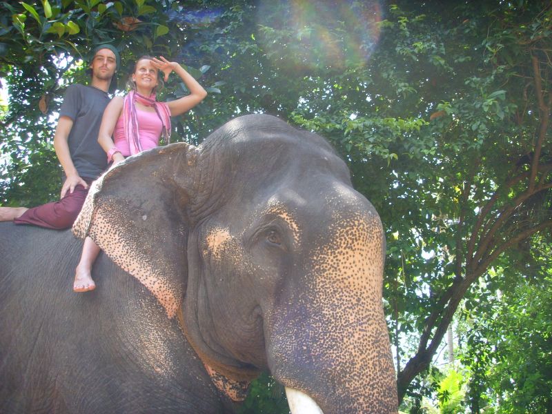 Elephant ride