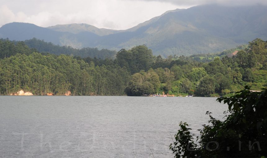 Best 8 Places to visit in Munnar – Best Hill Station in Kerala