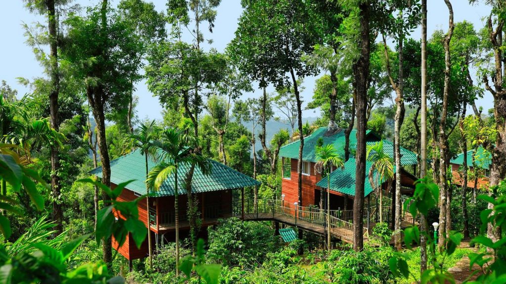 kaivalyam-retreat-treehouse-munnar-kerala-india-002-1606062445